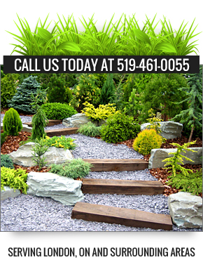 London ON Landscaping Contractor - Banner About